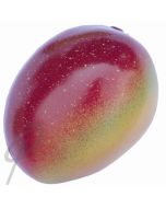 Optimum Mango Shaker