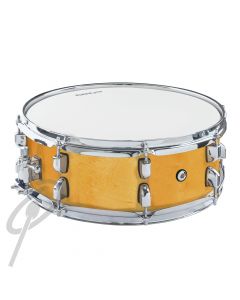 DXP 14 x 5 Birch Shell Snare drum