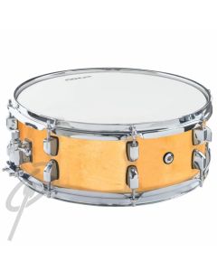 DXP 14 x 5 Maple Shell Snare drum
