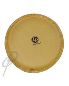 LP Quinto Head - 11inch